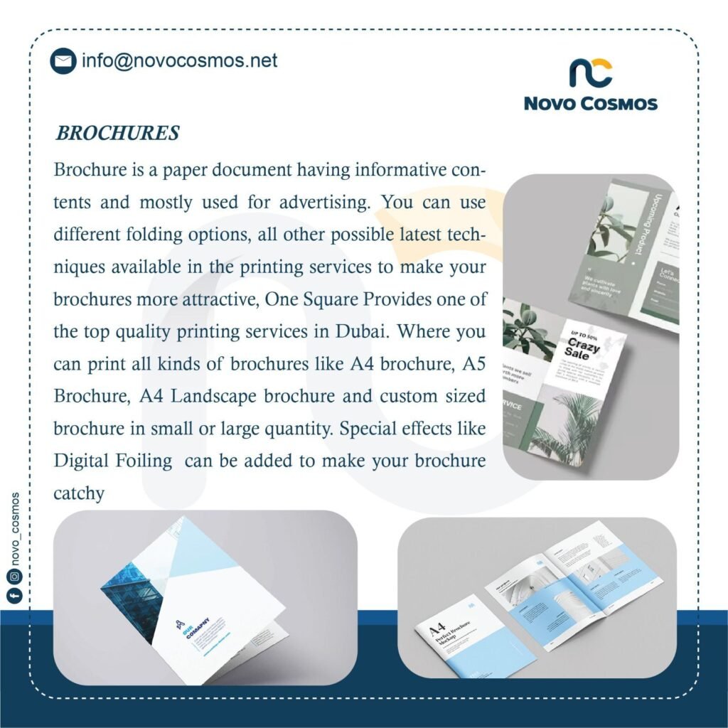 WhatsApp Image 2025-11-25 at 5.03.36 PM (1)